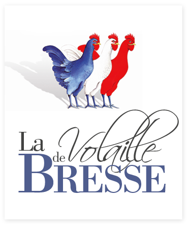 Bressehuhn bradfertig